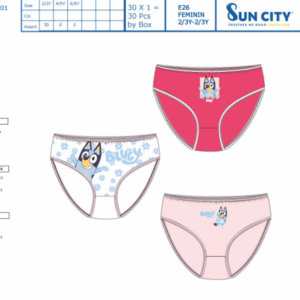 Pack 3 braguitas Bluey y bingo desde 2 hasta 8 años